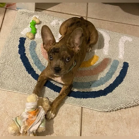 Meet The Posher - Picture 13 of 16